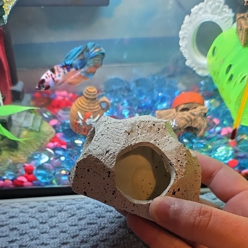 Hiding Spot For Fish Tanks